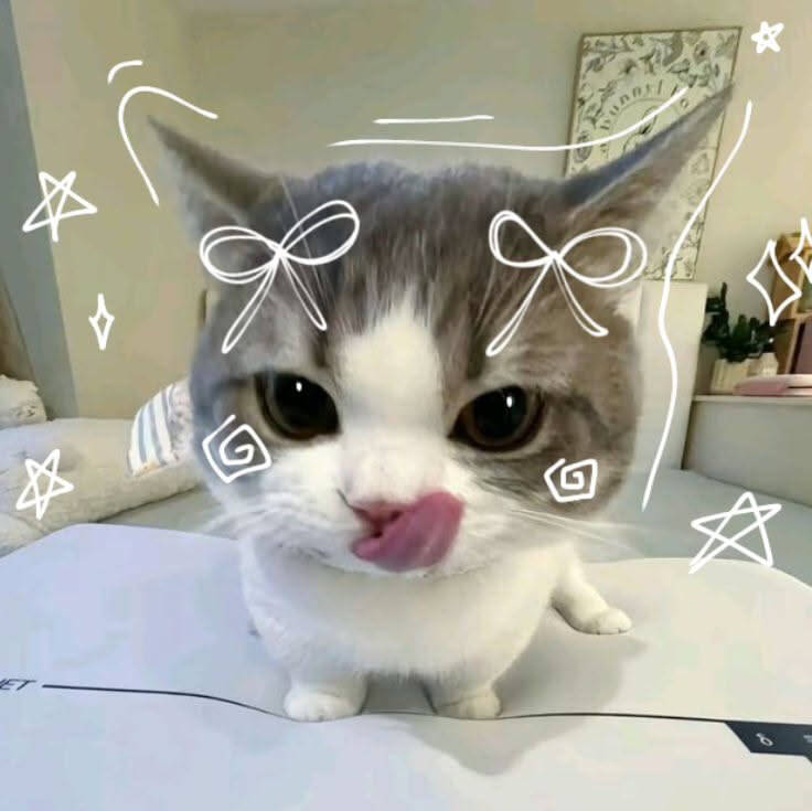 Aesthetic pfp Profile Picture of Cute Cat with Fun Style