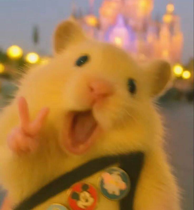 Aesthetic pfp Profile Picture of Cute Hamster in Front of Castle