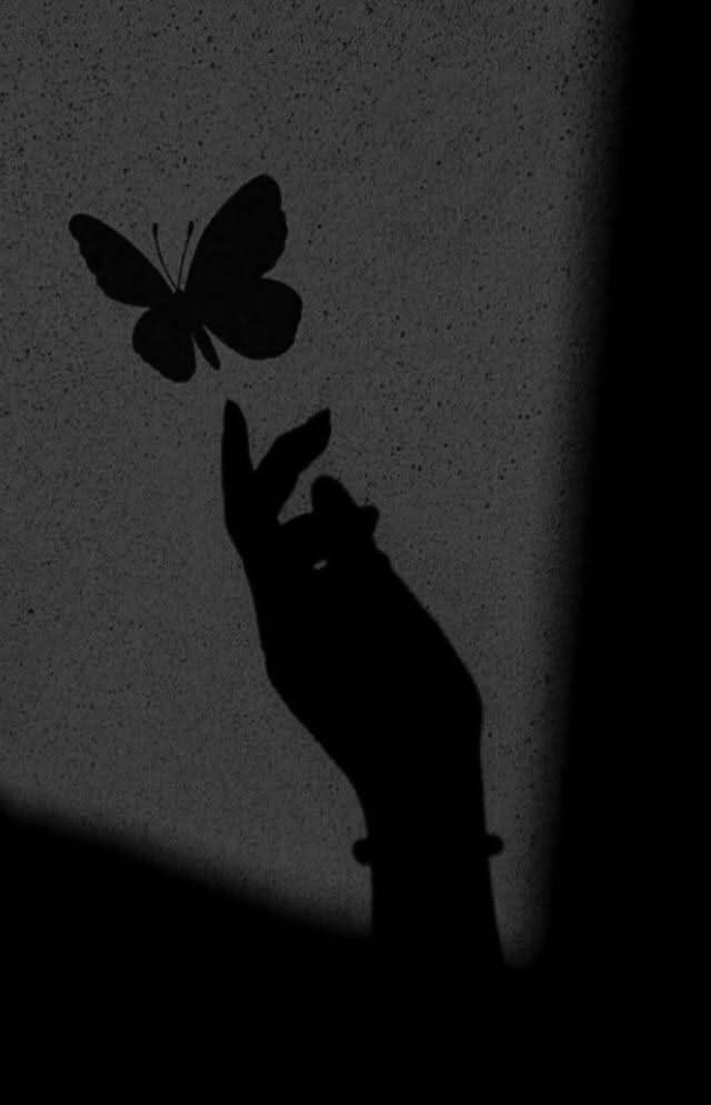 Aesthetic pfp Profile Picture of Hand Shadow with Butterfly