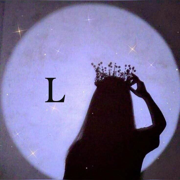 Aesthetic pfp Profile Picture Silhouette with Crown and Stars