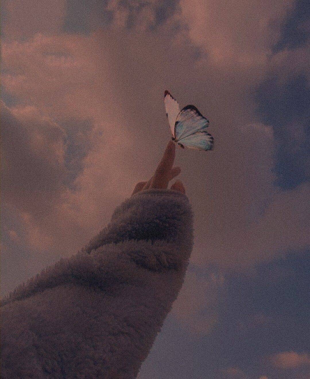 Aesthetic pfp Profile Picture with Butterfly in Colorful Sky