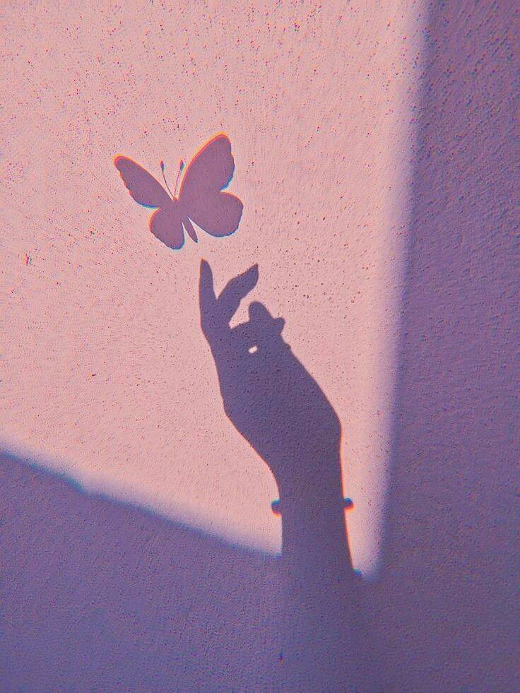 Aesthetic pfp Profile Picture with Butterfly Shadow