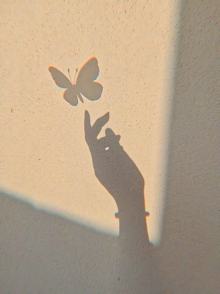 Aesthetic pfp Profile Picture with Butterfly Shadow