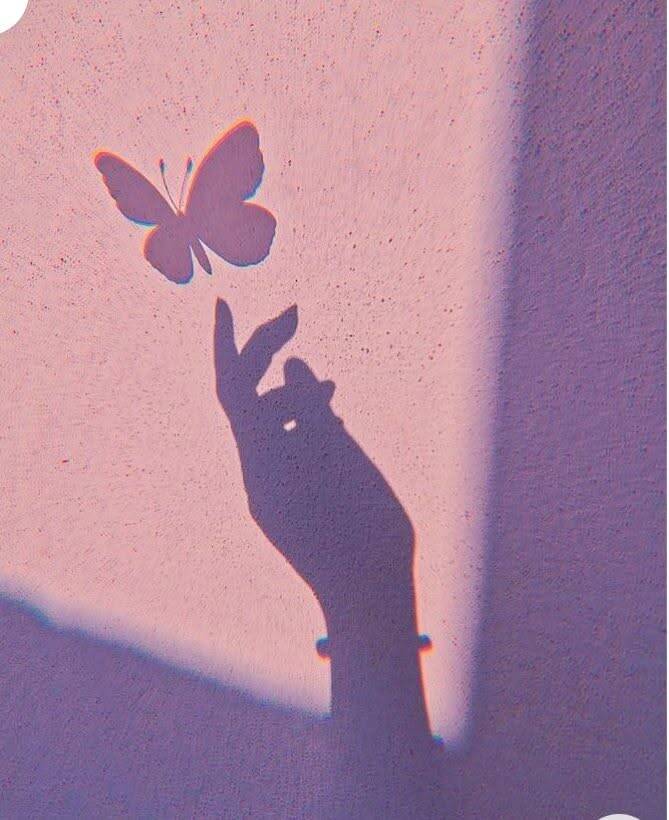 Aesthetic pfp Profile Picture with Butterfly Shadow