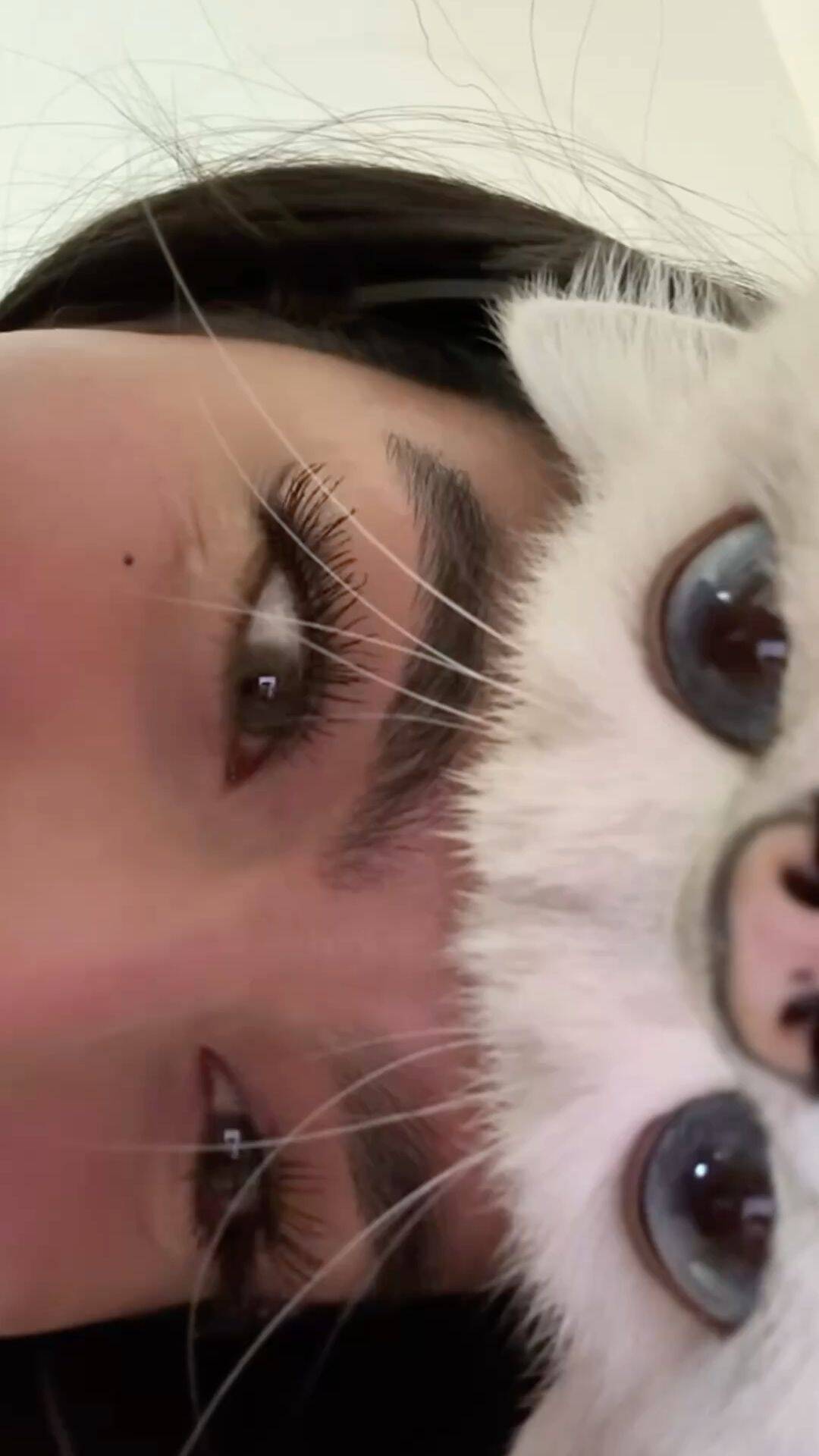 Aesthetic pfp Profile Picture with Cat Eyes and Smile