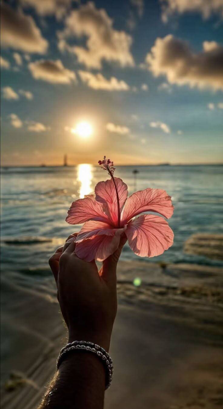 Aesthetic pfp Profile Picture with Flower at Sunset