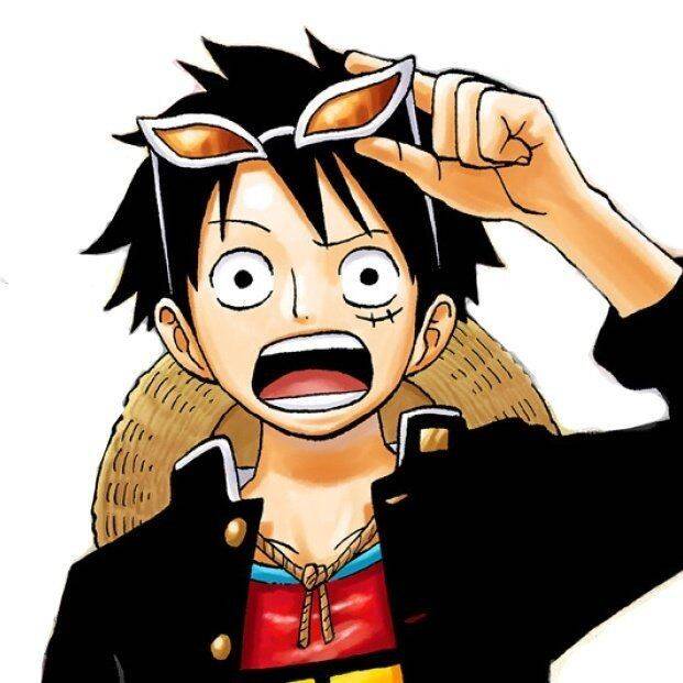 Anime Boy pfp Profile Picture Luffy Style with Straw Hat