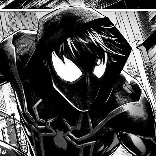 Black Profile of Spider-Man in Anime Style pfp Profile Picture