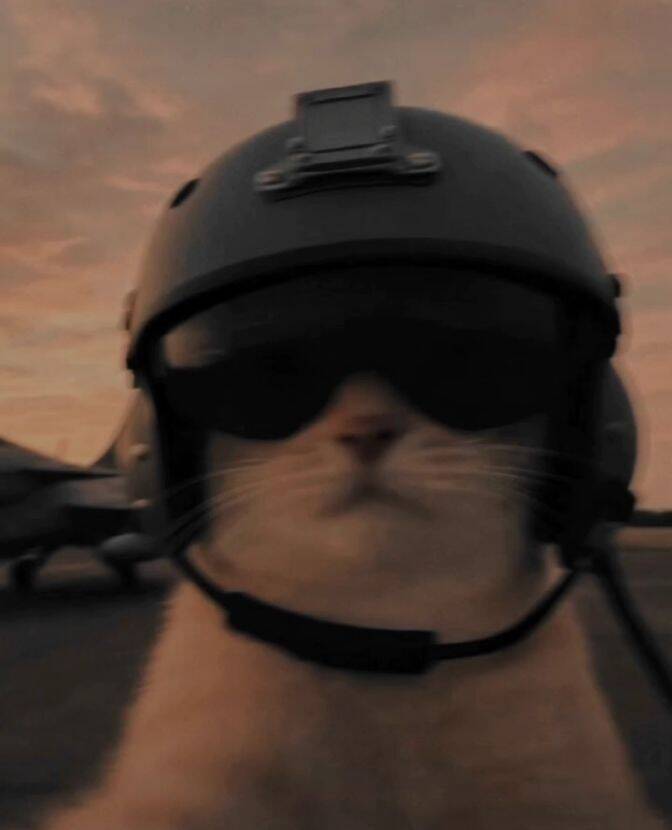 Aviator Cat pfp Profile Picture for Discord
