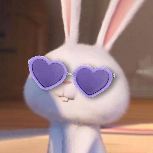 Pretty and Cute Pfp Profile Picture of Bunny with Heart Glasses