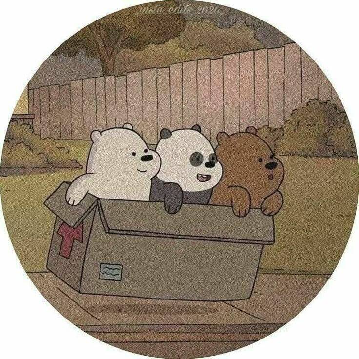 Cute and Adorable Pfp Profile Picture of Teddy Bears in Fun Box