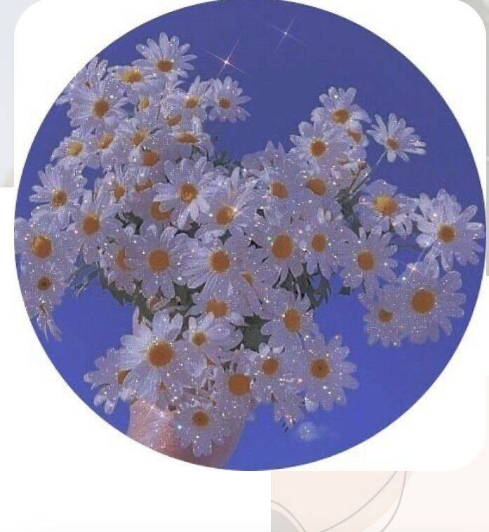 Cute and Adorable Pfp Profile Picture of White Flowers with Sparkle