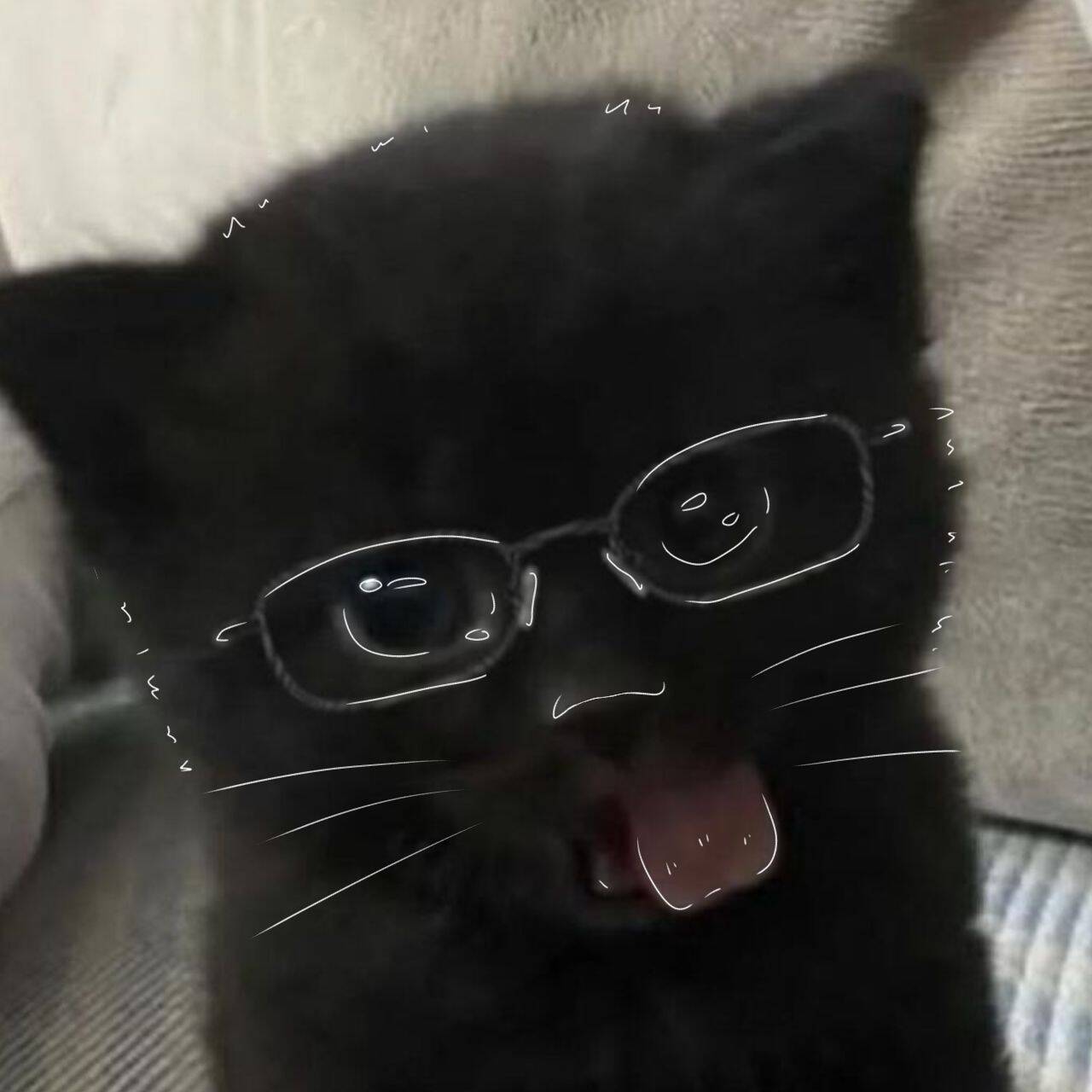 Black Profile Picture of Funny Cat with Glasses