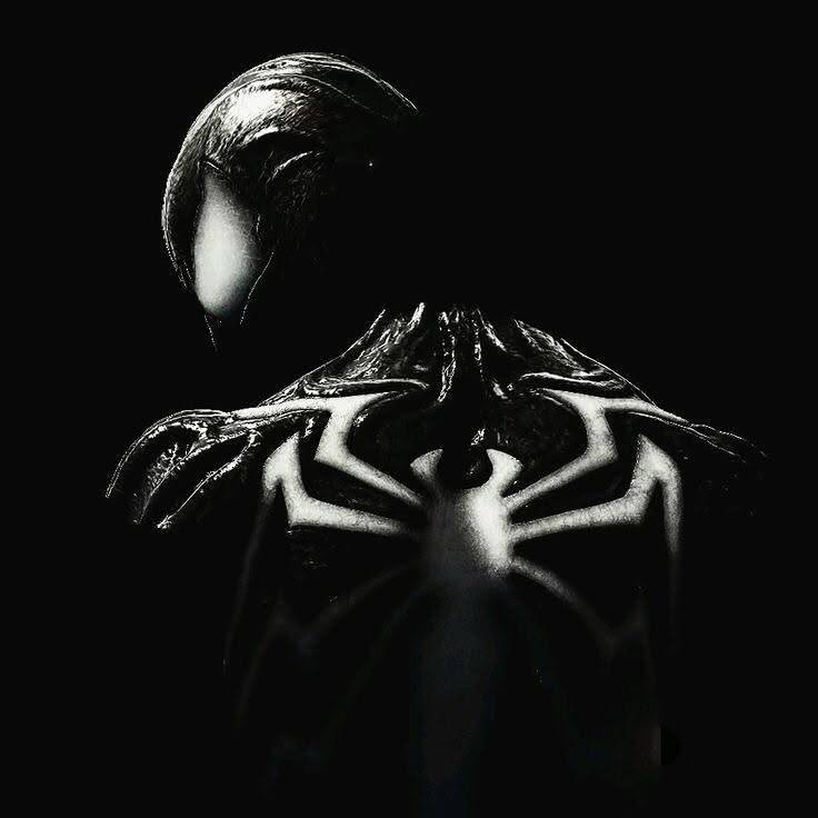 Black Profile Picture of Spider-Man in Silhouette