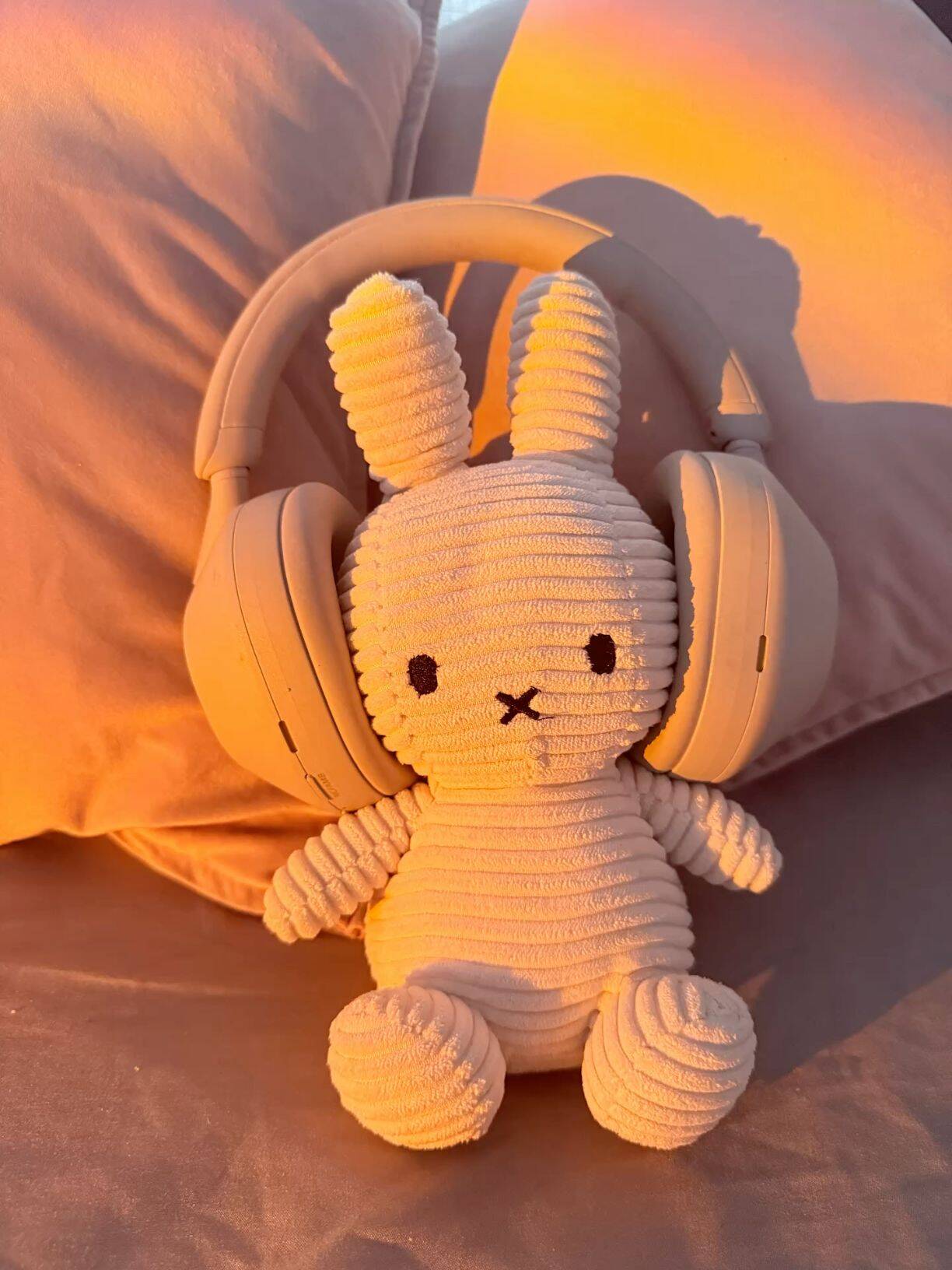 Bunny pfp Profile Picture with Headphones