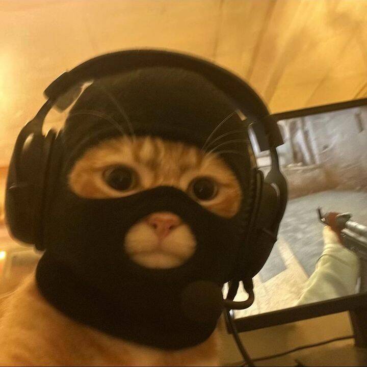 Funny pfp Profile Picture of Gamer Cat with Headphones