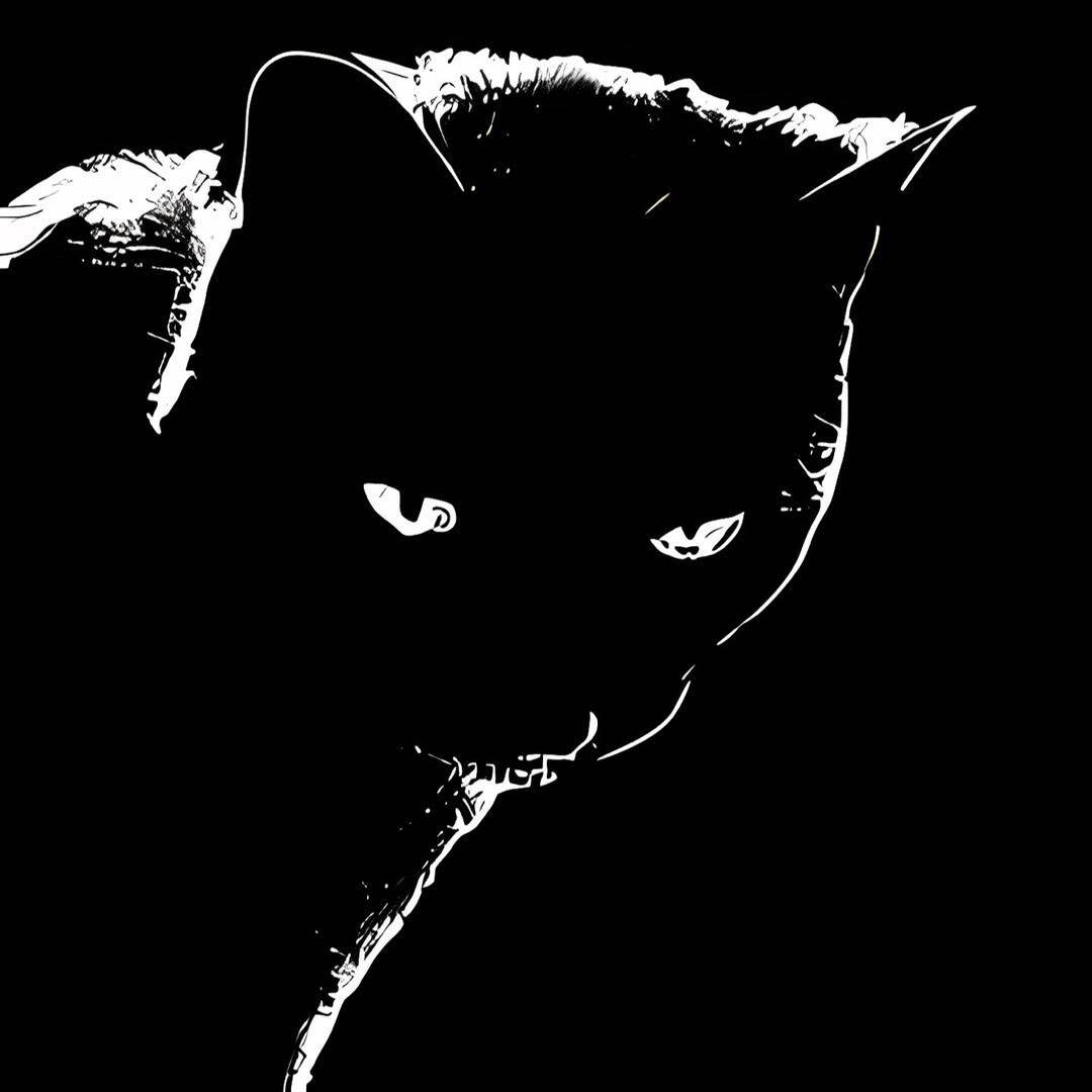 Black pfp Profile Picture of Cat Silhouette