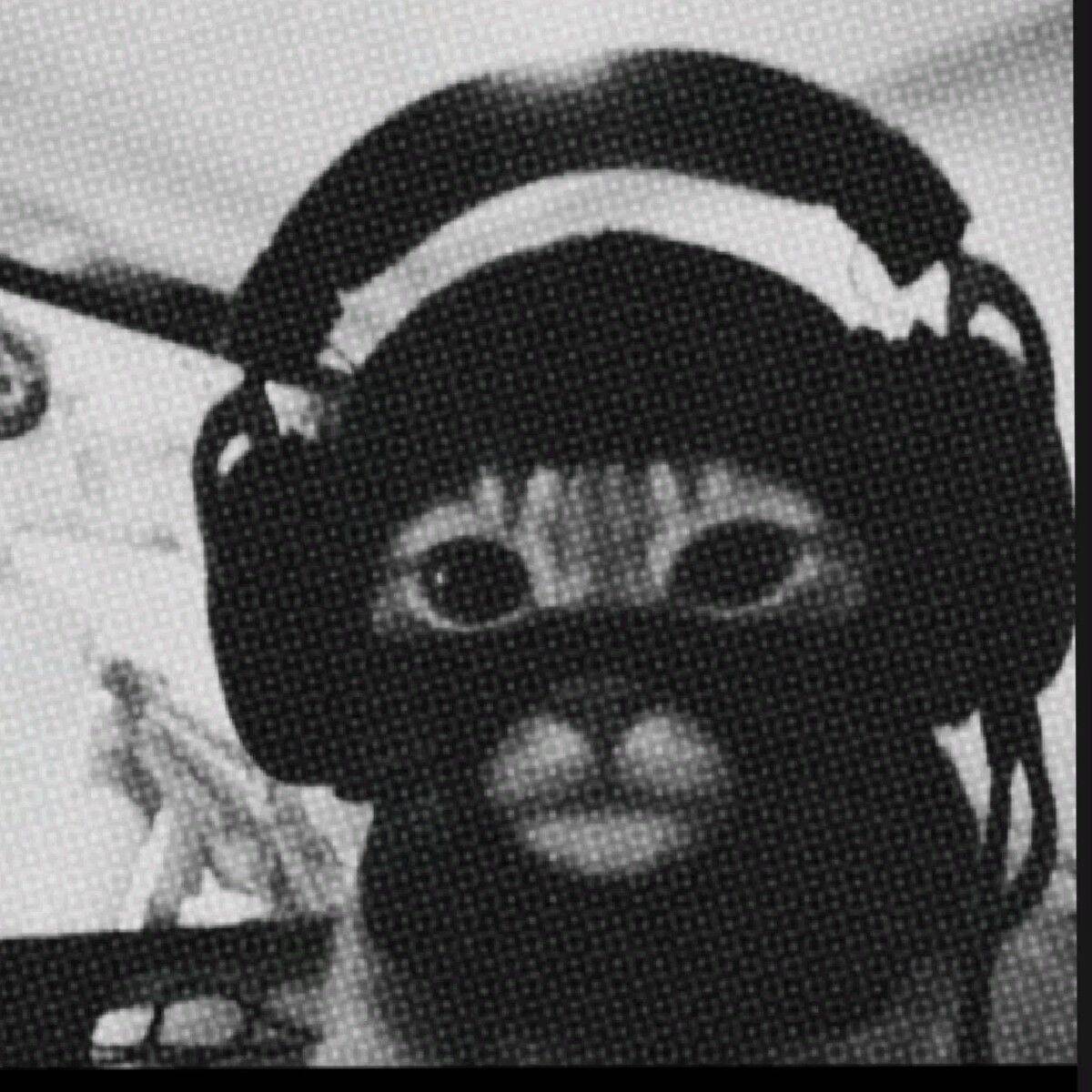 Black pfp Profile Picture of Cat with Headphones