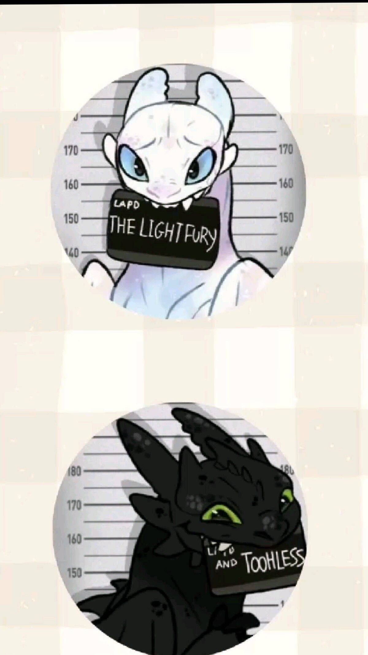Light Fury and Toothless Matching Couple pfp Profile Picture