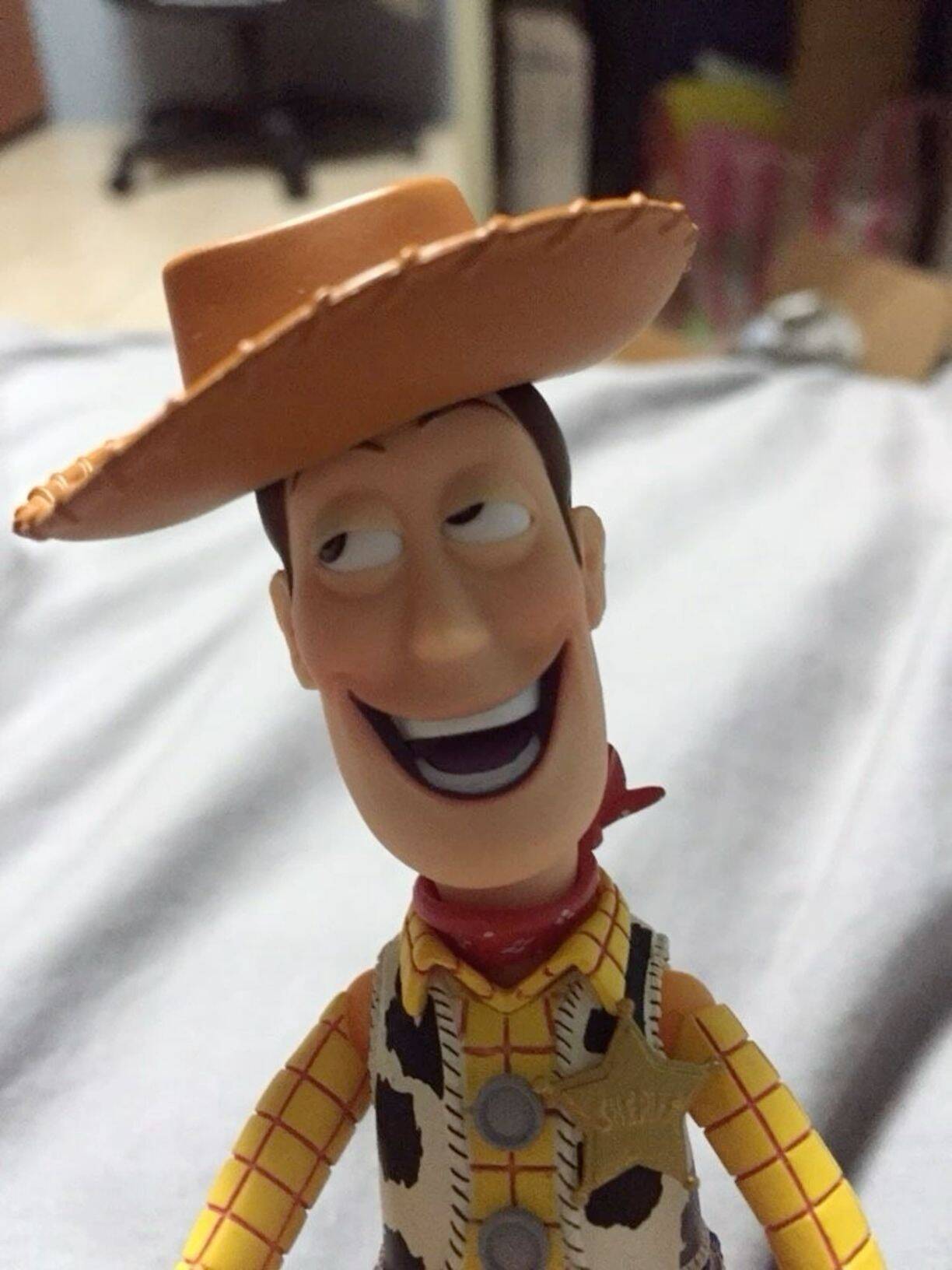 Funny pfp Profile Picture of Smiling Cowboy Doll