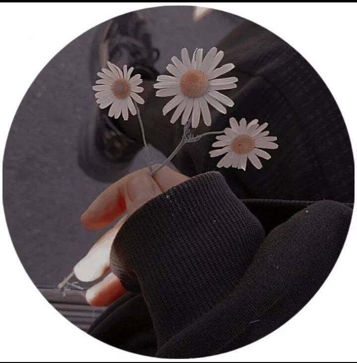 Cute Girl with Flowers in Hand Aesthetic pfp Profile Picture