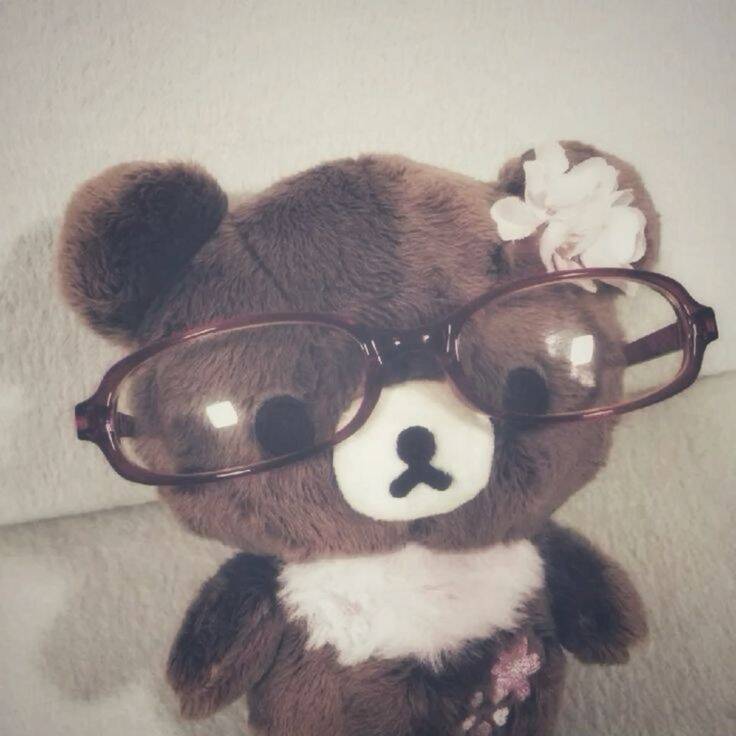 Beautiful and Cute Teddy Bear Pfp Profile Picture with Glasses