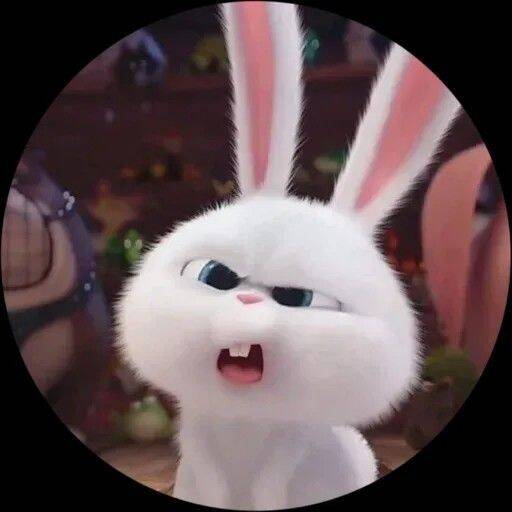 Cute Bunny Girl pfp Profile Picture