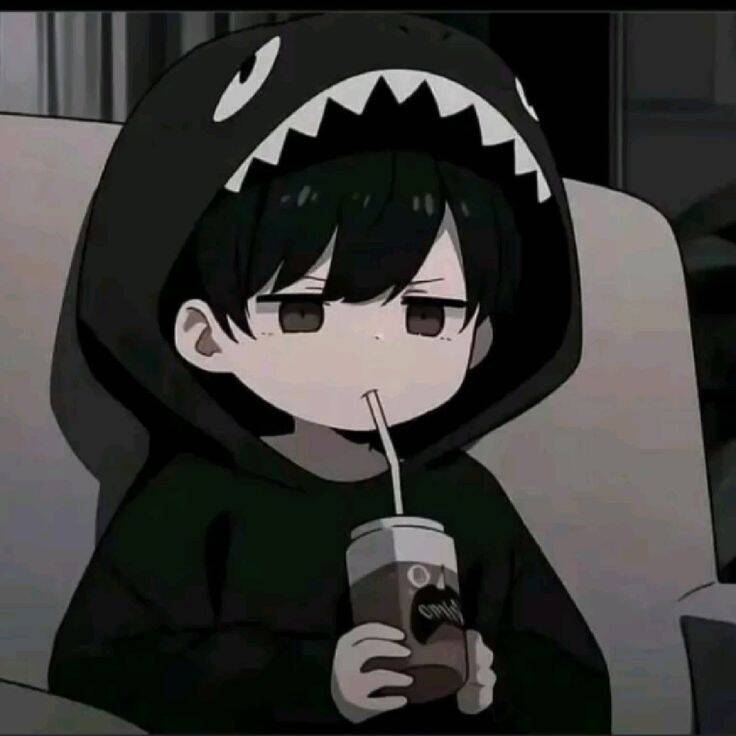 Cute Hoodie Anime pfp Profile Picture for Discord