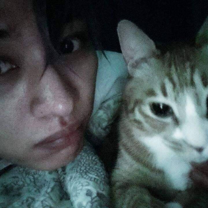 Cute Cat pfp Profile Picture with Big Eyes and Funny Face