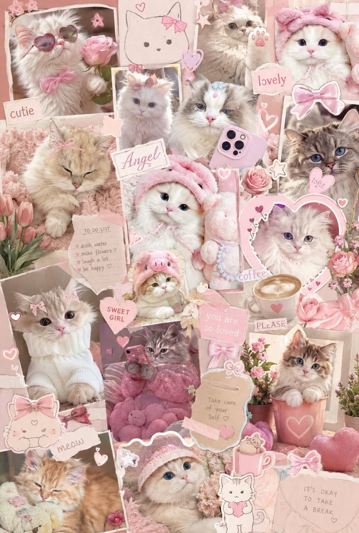 Cute Cat pfp Profile Picture with Pink Accessories