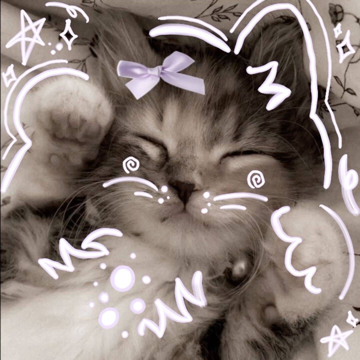 Cute Cat pfp Profile Picture with Bow and Dreamy Eyes