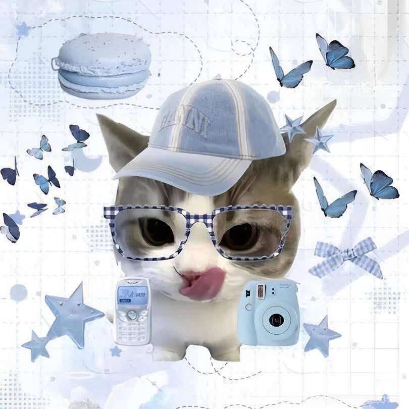 Cute Cat pfp Profile Picture with Glasses and Cap
