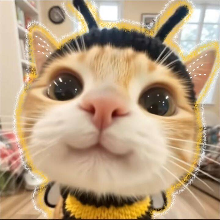 Cute Cat pfp Profile Picture Dressed as a Bee