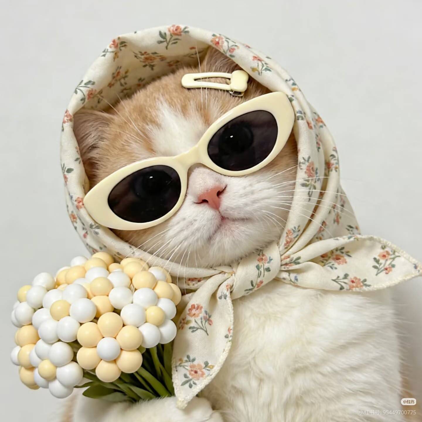Cute Cat pfp Profile Picture with Glasses and Scarf