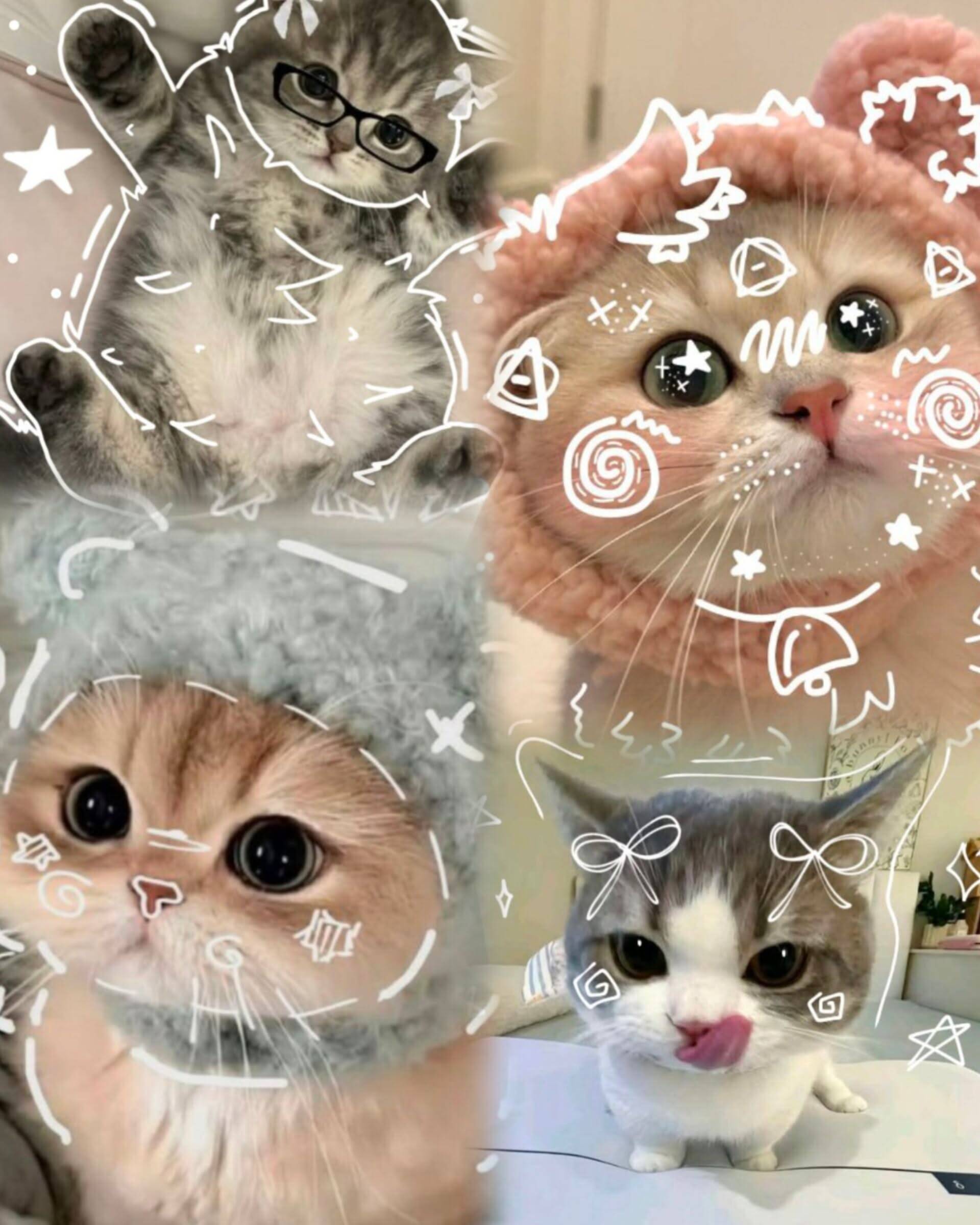 Cute Kittens pfp Profile Picture with Fun Accessories