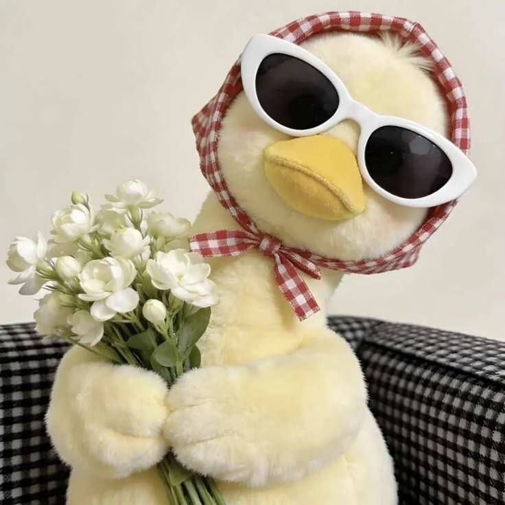 Aesthetic pfp Profile Picture of Cute Duck with Sunglasses