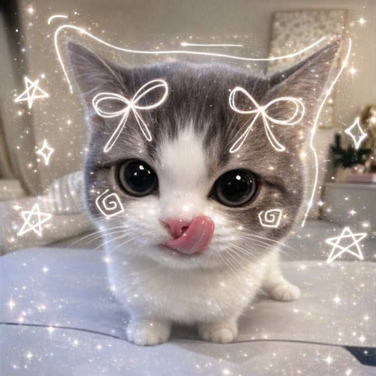 Cute Kitten pfp Profile Picture Sticking Tongue Out with Bows
