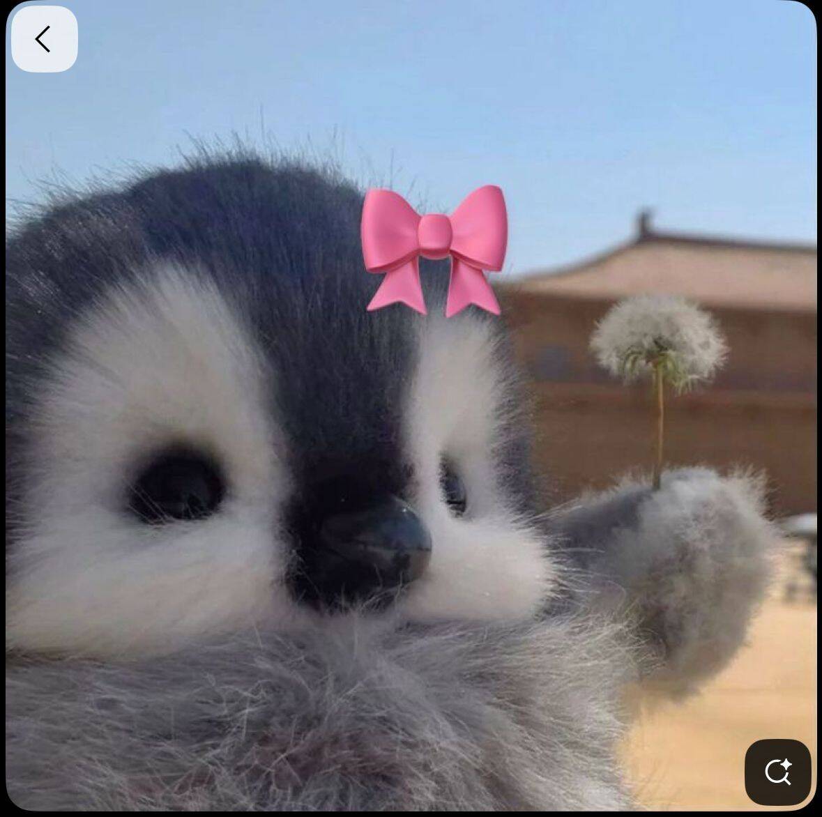 Cute Penguin pfp Profile Picture for WhatsApp