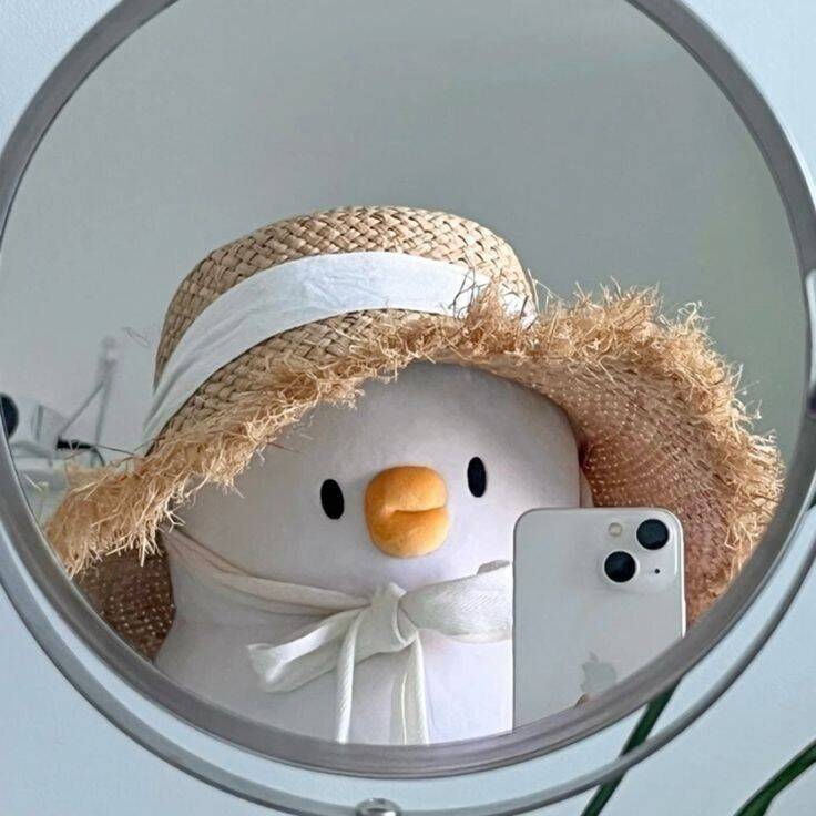 Cute and Adorable Pfp Profile Picture of Penguin with Aesthetic Style Hat
