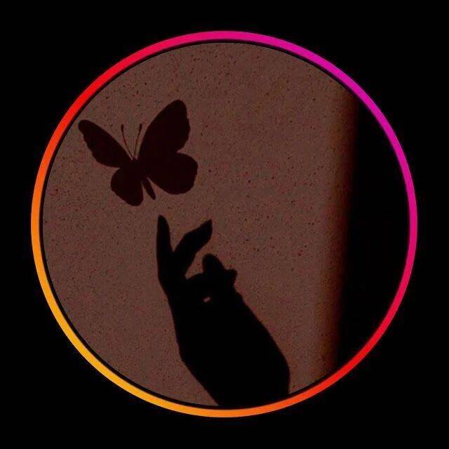 Pretty and Cute Pfp Profile Picture of Hand Shadow with Butterfly