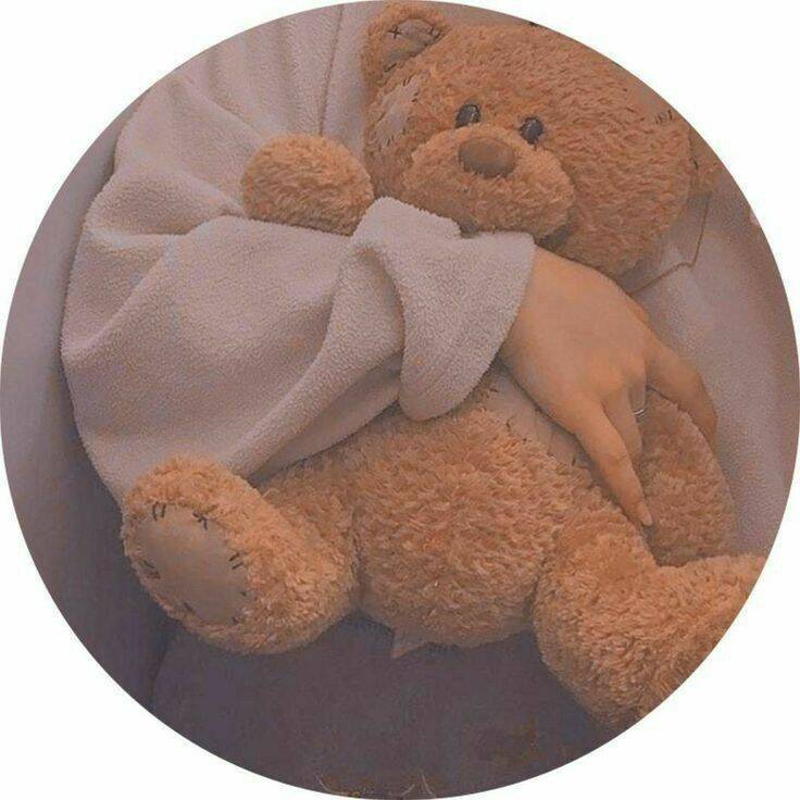 Cute Teddy Bear Pfp Profile Picture for WhatsApp