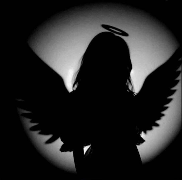 Dark Angel pfp Profile Picture