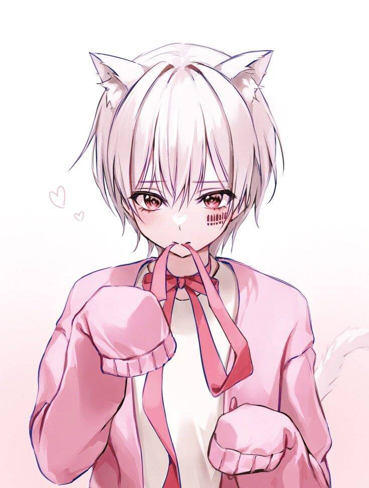 Femboy Pfp Profile Picture with Cat Ears and Pink Sweater