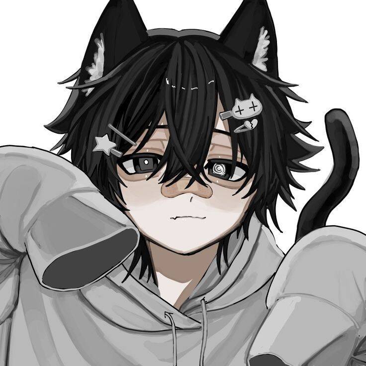Femboy Pfp Profile Picture with Cat Ears and Kawaii Style