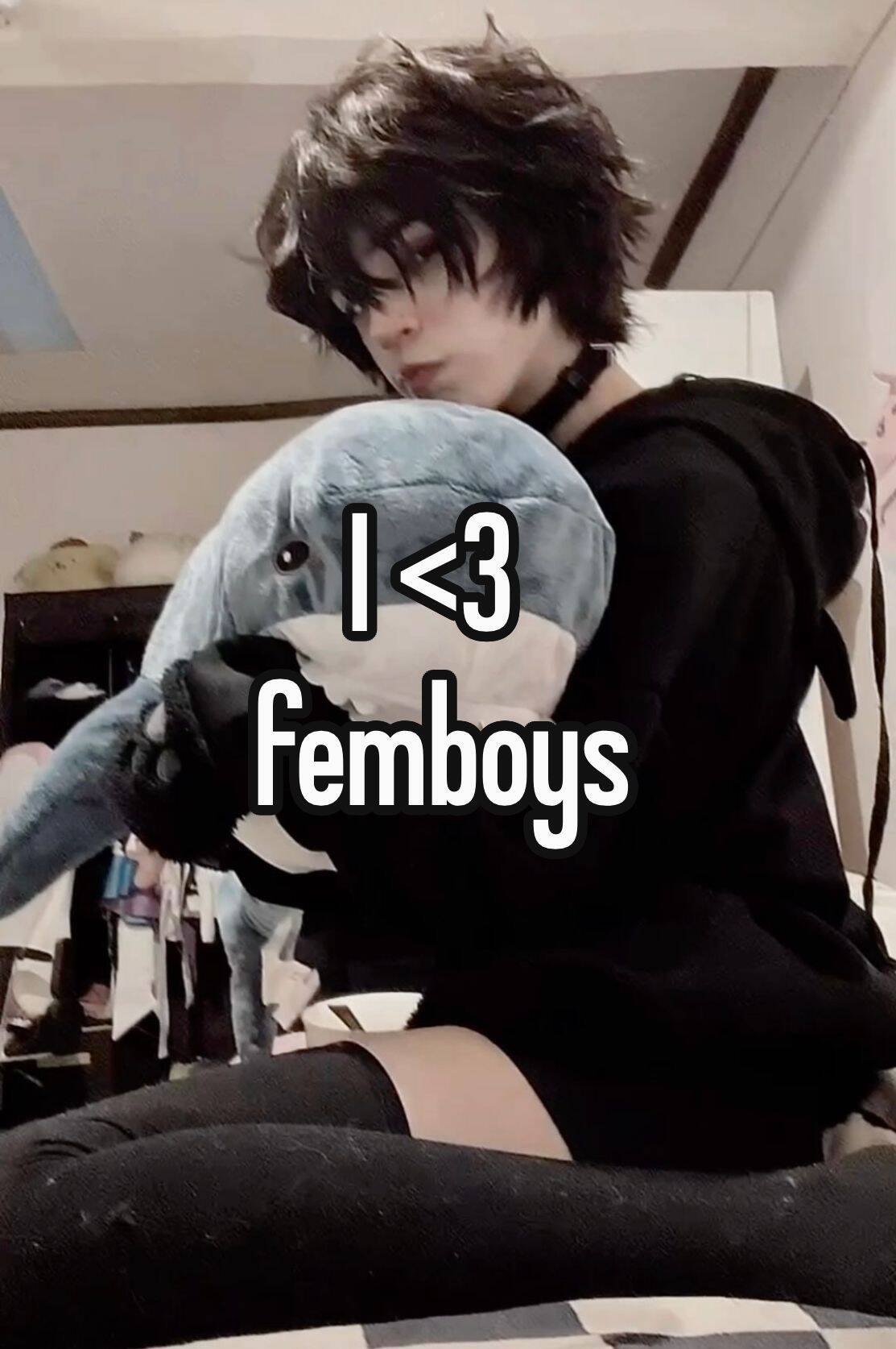 Femboy Pfp Profile Picture with Shark Plushie