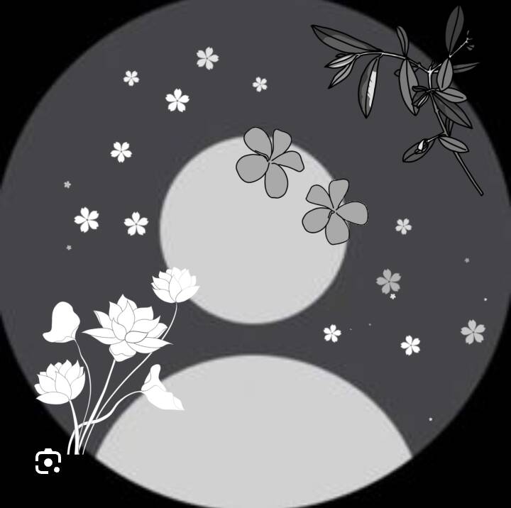 Girl​ Instagram pfp Profile Picture with Black and White Flowers