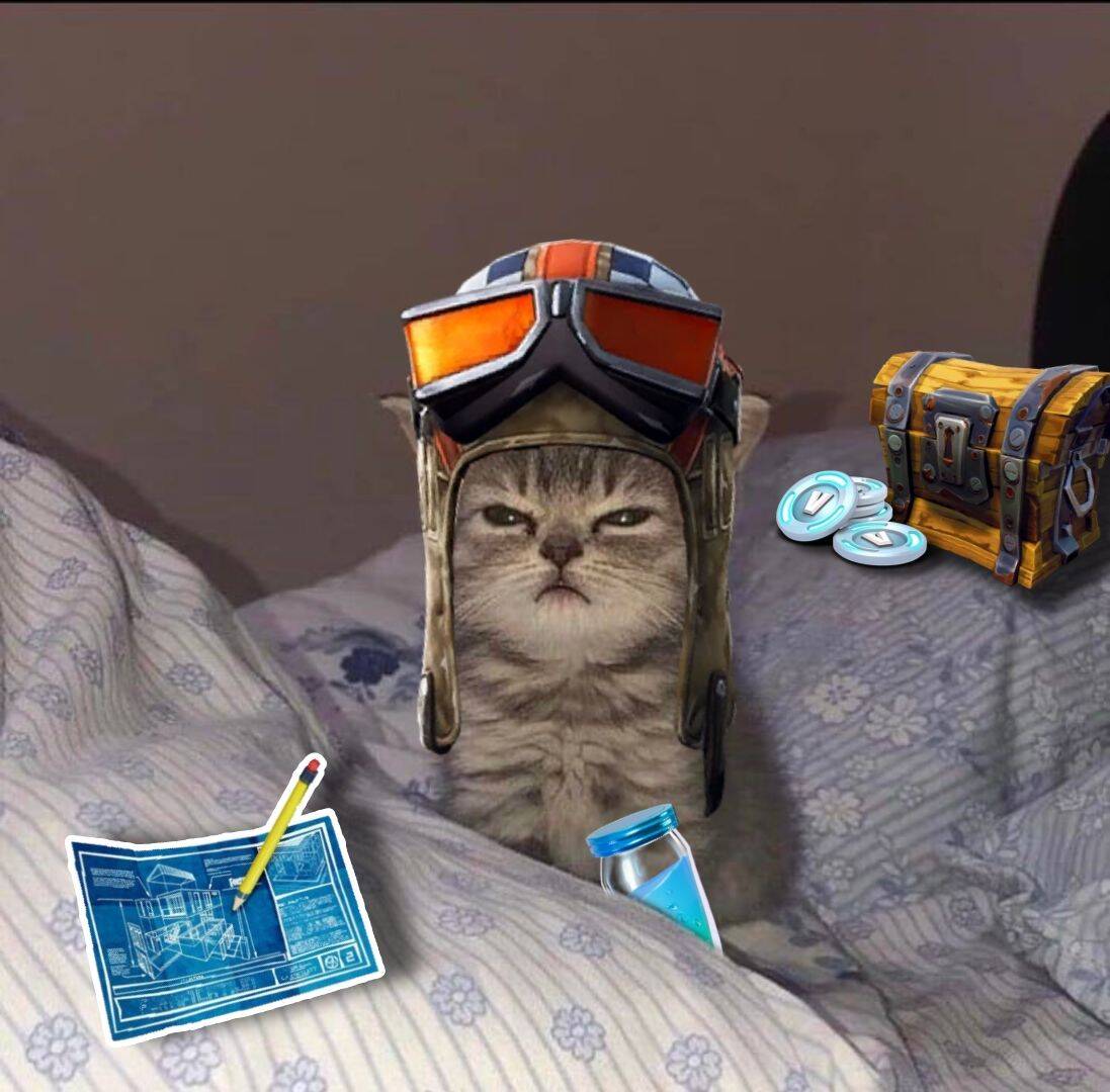 Fortnite Funny Cat with Helmet pfp Profile Picture