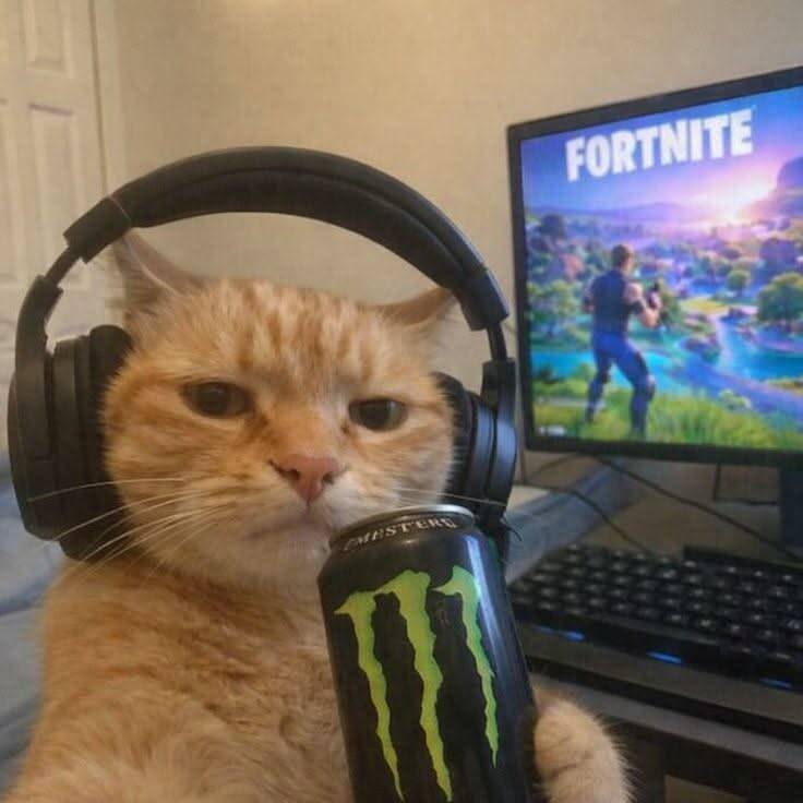 Fortnite Gamer Cat pfp Profile Picture with Headphones and Drink