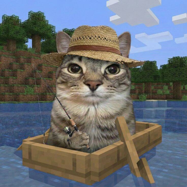 Funny Cat pfp Profile Picture Fishing in a Boat