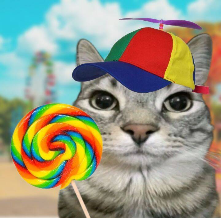 Funny Cat pfp Profile Picture with Colorful Cap and Lollipop